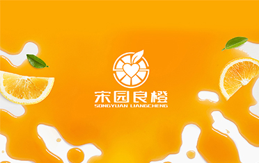 某良橙——宁波LOGO设计